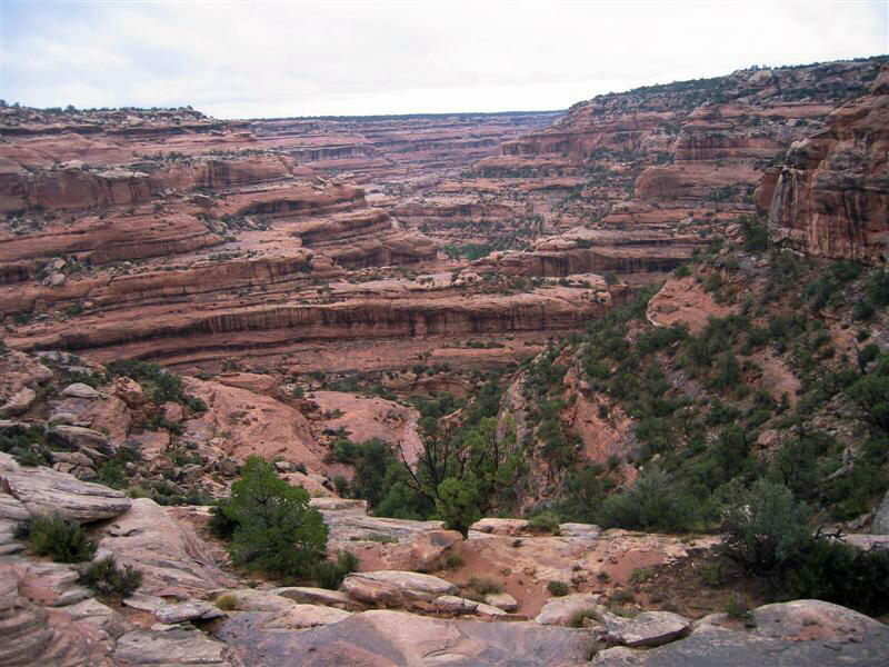 From the trailhead looking into Road Canyon towards Seven Kiva.