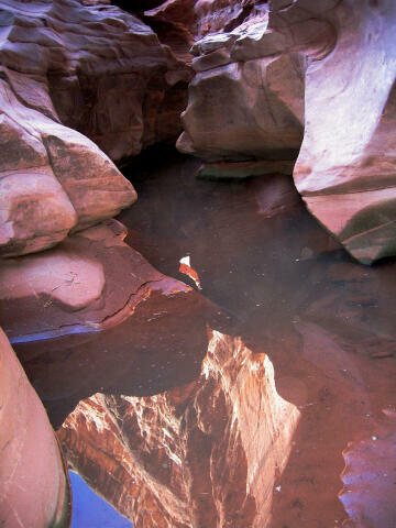 The Black Hole of White Canyon