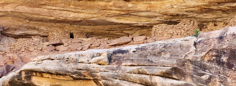 Fry Canyon Ruins