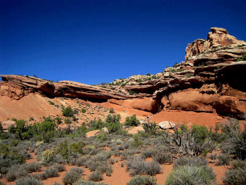 Ridge Top Ruins are located in the alcove in the center of the picture.