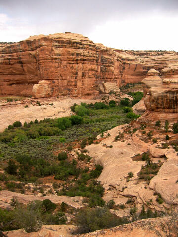 Looking into Grand Gulch