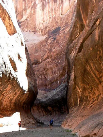 Halls Creek Narrows - Capitol Reef National Park