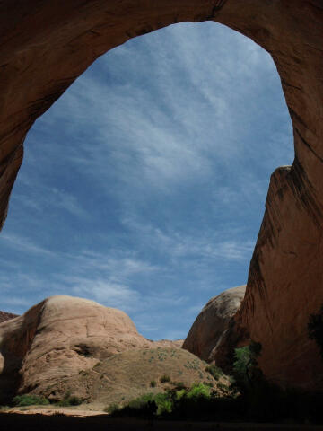 Halls Creek Narrows - Capitol Reef National Park