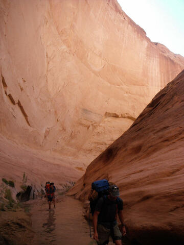 Halls Creek Narrows - Capitol Reef National Park