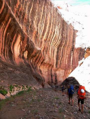 Halls Creek Narrows - Capitol Reef National Park