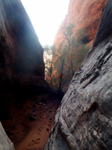 Happy Dog Canyon - Capitol Reef National Park