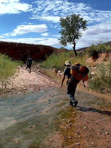 Hiking Halls Creek in Capitol Reef National Park