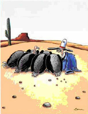 Far Side Cartoon