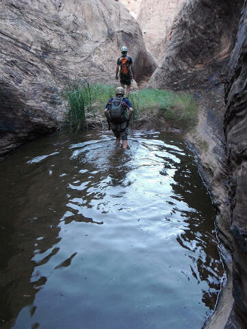 Poe Canyon - Capitol Reef National Park