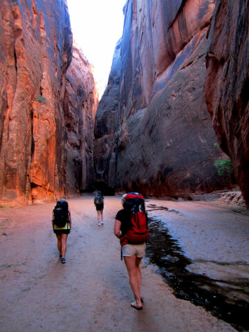 Buckskin Gulch