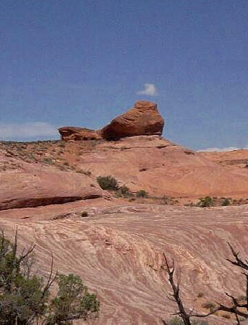 The "Headless Hen" Gaurds the canyon.