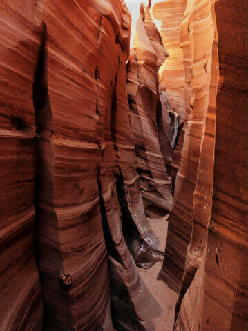 Zebra Canyon - Grand Staircase Escalante National Monument