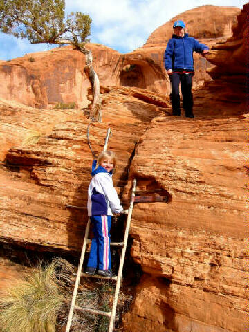 Ladder with bowtie Arch over the shoulder.