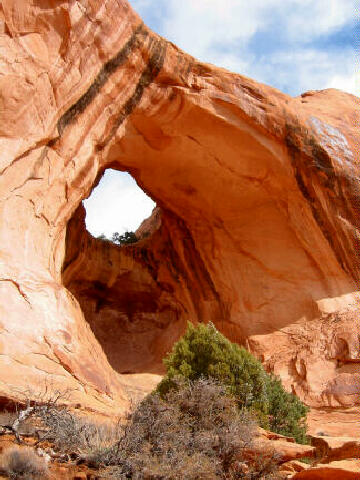 Bowtie Arch