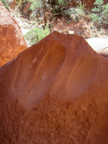 Grinding Stone - Canyonlands National Park