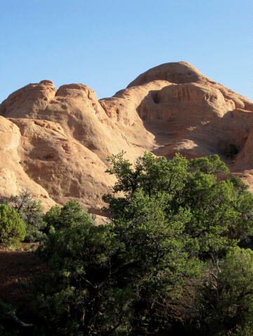 Sandstone Knoll's hide the arches