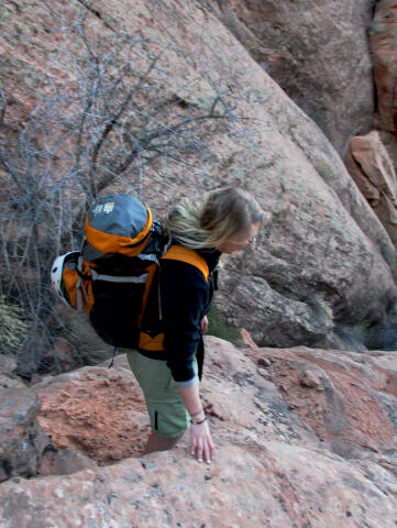 Lizard Country - Moab