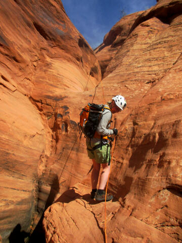 Lizard Country - Moab