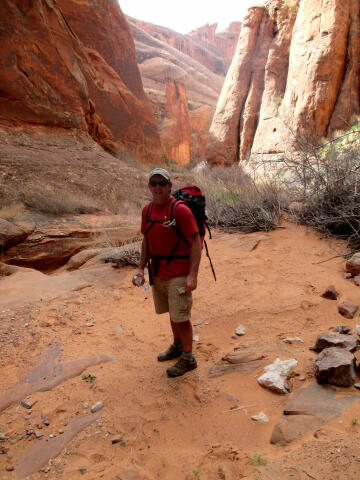 Lizard Country - Moab