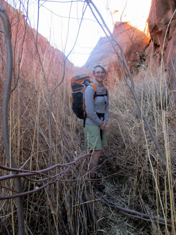 Moonflower Canyon - Moab