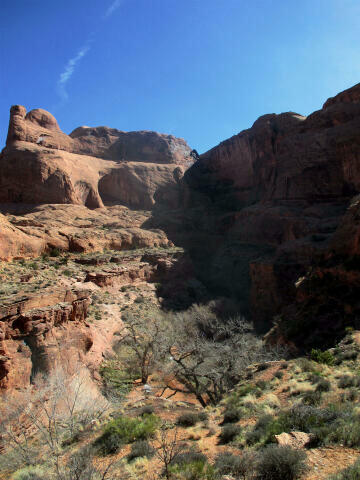 Moonflower Canyon - Moab