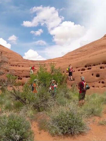 Not Tierdrop Canyon - Arches National Park