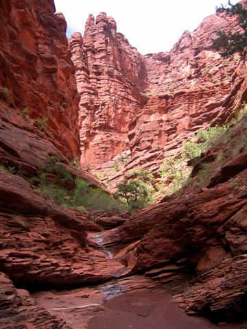 Onion Creek usually contains sections of flowing water.