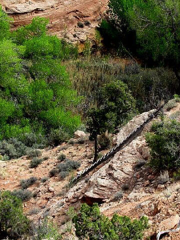 Ruby's Ladder & Tramway - Moab