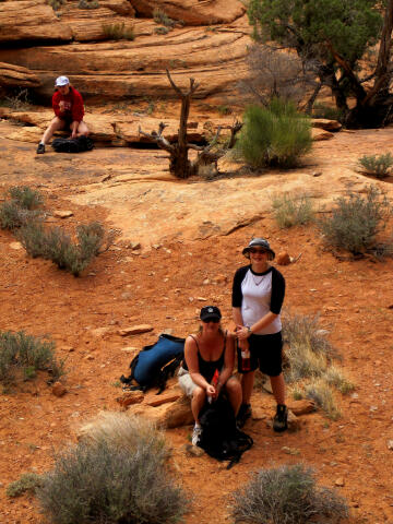 Looking down from the Bighorn Sheep Petroglyph Panel