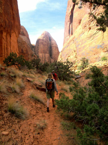 Sunseed Canyon - Moab