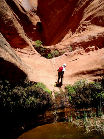 Limbo Canyon - Lake Powell