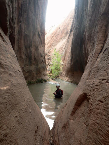 Tinnitus Canyon - Lake Powell