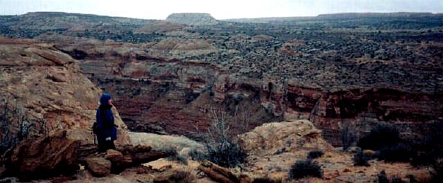 Looking into Horseshoe Canyon