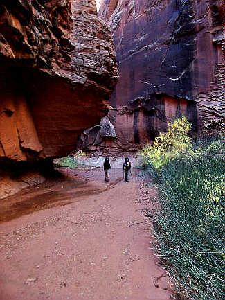 A lazy stroll down Three Canyon.