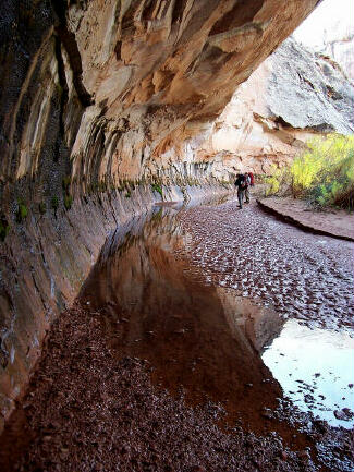 Hiking in Three Canyon