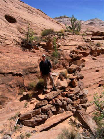 Part of the horse trail exit.