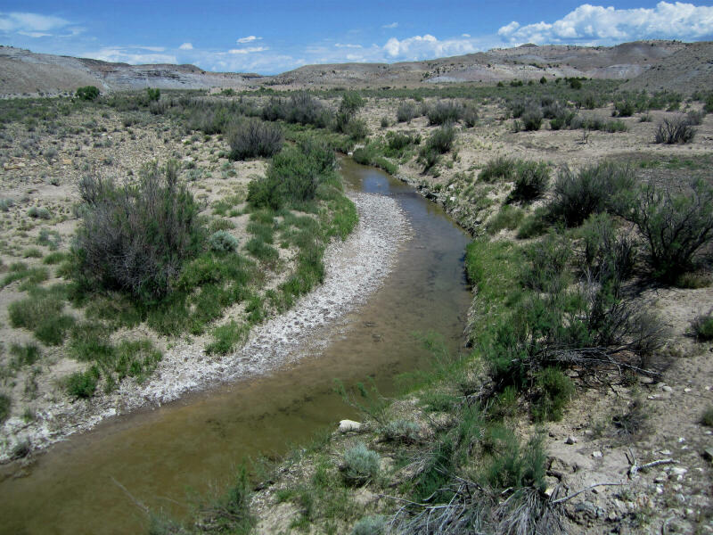 Grassy Creek - San Rafael Swell