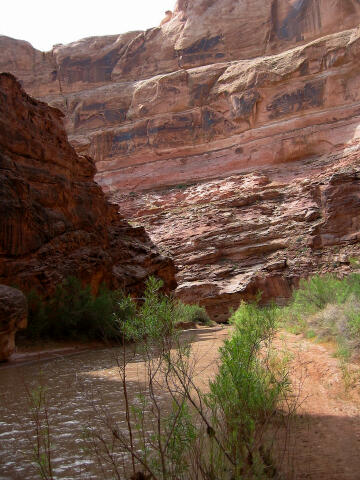 Muddy Creek Gorge