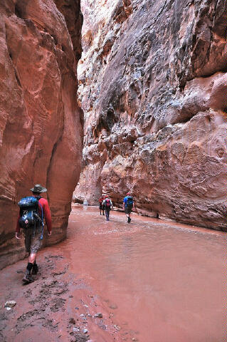 Strolling down Muddy Creek.