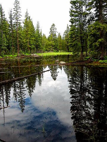 Along the Lofty Lake Trail