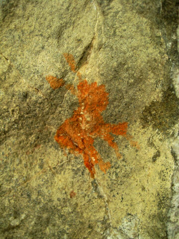 Parrish Canyon Pictographs