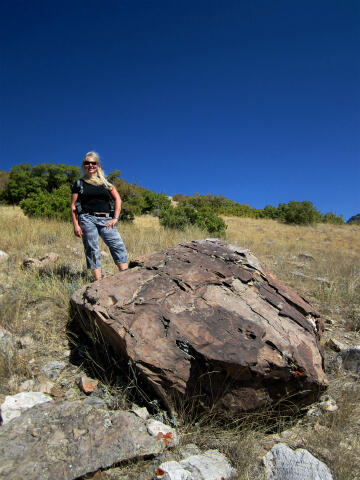 Provo Canyon Petroglyphs