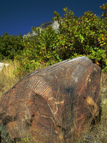 Provo Canyon Petroglyphs