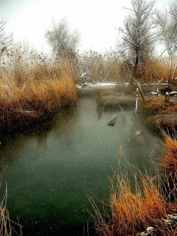 Saratoga Hot Springs during a snow storm