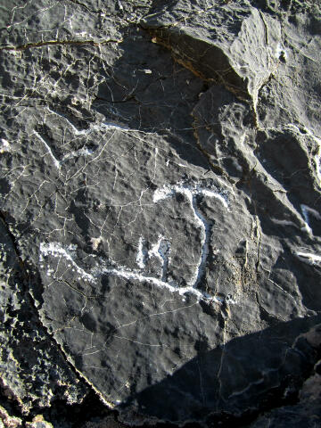 Story Rock Petroglyph