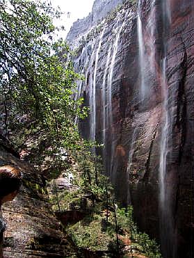 Zion Flashflood