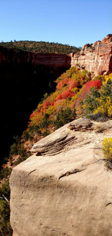 Indian Creek South Fork Pictographs