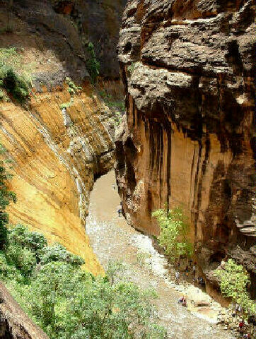 Zion Narrows from the top of Mystery Falls