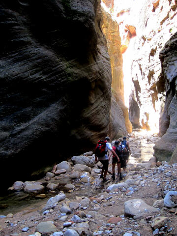 Orderville Gulch in Zion National Park